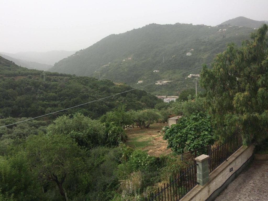 Apartment Villafiorita